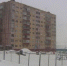 58 тысяч рублей и год исправительных работ присудили жительнице Норильска, которая не уследила за своей собакой, покусавшей ребенка - Заполярная правда