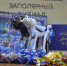 Новогодние подарки получат все дети работников филиалов и РОКС компании "Норникель" - ИА Таймырский Телеграф