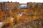 ЭкоНочь — 2021