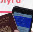 С 4 июля на портале «Госуслуги» можно будет оформить цифровую Карту болельщика - Заполярная правда