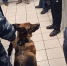 В Норильском аэропорту полицейские задержали наркокурьера - Северный город