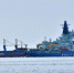 На Северный морской путь приглашаются Арабские Эмираты - ИА Таймырский Телеграф