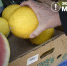 Чем полезна дыня для здоровья человека? - Северный город