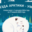 К нам приходит «Звезда Арктики–Умка» - Объединенная дирекция заповедников Таймыра