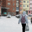 Кайерканцев приглашают к участию в конкурсе на лучший символ года - ИА Таймырский Телеграф