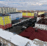 Открыта регистрация на акселератор «Развитие моногородов» для активной молодежи - ИА Таймырский Телеграф