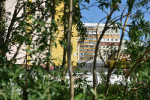 Последняя неделя лета в Норильске будет теплой