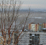 Морозы немного ослабили хватку - Северный город