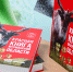 Песца внесли в обновлённую Красную книгу Мурманской области - Северный город
