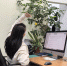 Как сохранить здоровье в условиях офисной нагрузки? - Северный город