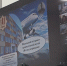 Телемост с юными исследователями 6-11 классов двух школ Красноярска и Норильска - Управление общего и дошкольного образования