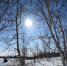 Фрагменты весны - ИА Таймырский Телеграф