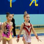 Спортивные учреждения Норильска получат новое оснащение, а городские школы — двух приглашённых педагогов